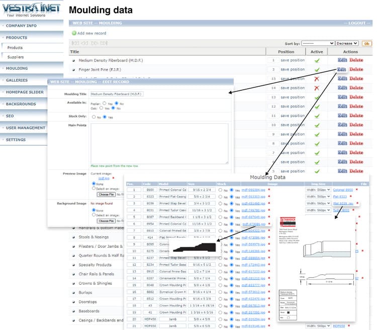 Streamlined Product Designs: Vestra Inet's Catalog Integration